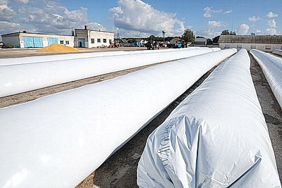 В Гродненской области активно убирают кукурузу