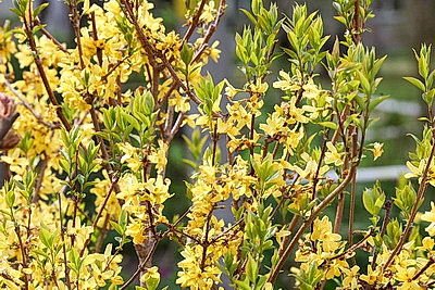 Минск. Прогулка по старым кварталам