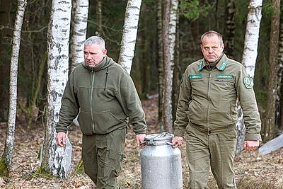 В Гродненской области приступили к заготовке березового сока