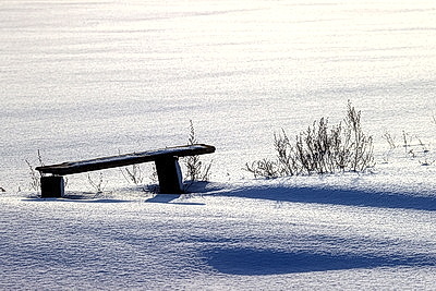 Снежный зимний день
