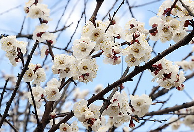 ФОТОХРОНИКА начинает новый информационный день