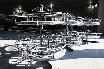 Что делают в Минской области для снижения количества ДТП с дикими животными