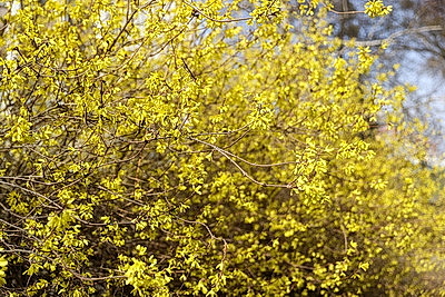 ФОТОХРОНИКА начинает новый информационный день