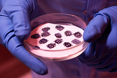 В рамках Единый день информирования состоялась встреча Караника с коллективом НИИ радиоматериалов