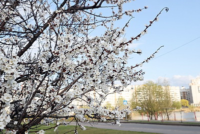 ФОТОХРОНИКА начинает новый информационный день