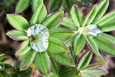 ФОТОХРОНИКА начинает новый информационный день