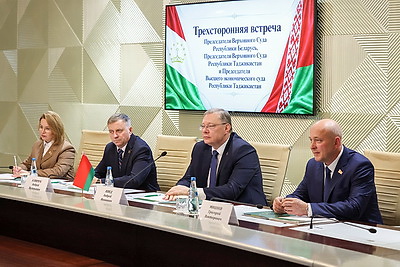 Швед встретился с главами делегаций верховных судов стран СНГ