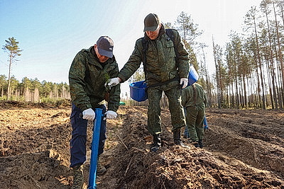 Навести порядок в общем доме. Вольфович об акции \"Лес! Дабро! Парадак!\"