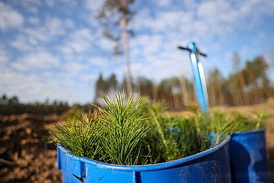 Навести порядок в общем доме. Вольфович об акции \"Лес! Дабро! Парадак!\"