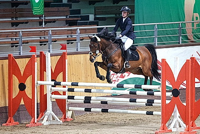 Чемпионат Беларуси по конному троеборью проходит в Ратомке