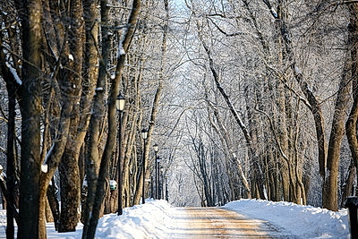 Солнечный январский день в Минске