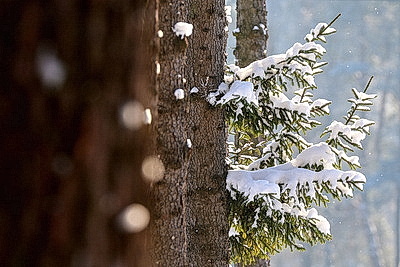 Зимний пейзаж