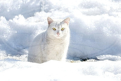 ФОТОХРОНИКА начинает новый информационный день