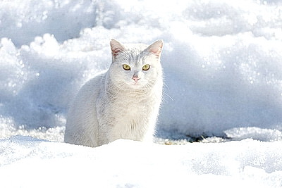 ФОТОХРОНИКА начинает новый информационный день