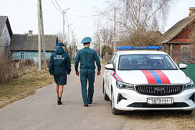 В Брестской области в марте произошло более 120 загораний травы и кустарников
