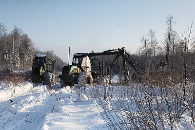При разработке труднодоступных лесосек планируют заготовить около 600 тыс. куб.м древесины