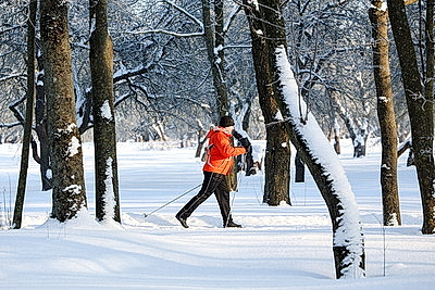 Солнечный январский день в Минске
