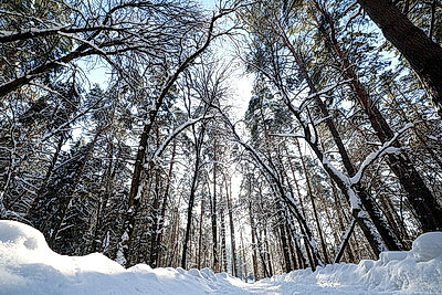 ФОТОХРОНИКА начинает новый информационный день