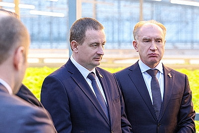 Круглый год в магазинах! Как выращивают овощи в тепличном хозяйстве \"ДОРОРС\"