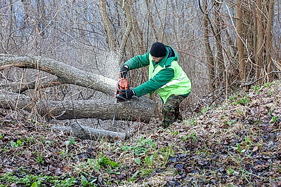 Покраска ограждений, уборка прошлогодней листвы. В Витебске прошел первый городской субботник
