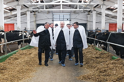 В Минской области в 2026 году планируют построить 111 профилакториев на 20 тыс. телят