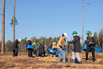Члены Совета Республики приняли участие в акции \"Лес! Дабро! Парадак!\" в Столбцовском районе
