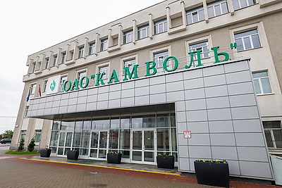 Минпромторг России и \"Беллегпром\" обсудили развитие совместных проектов предприятий двух стран