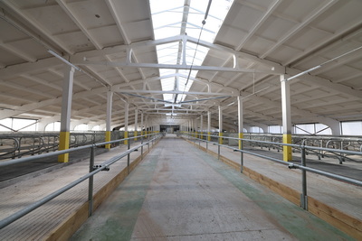 Республиканский субботник: помощь в возведении МТК оказали в Витебском районе