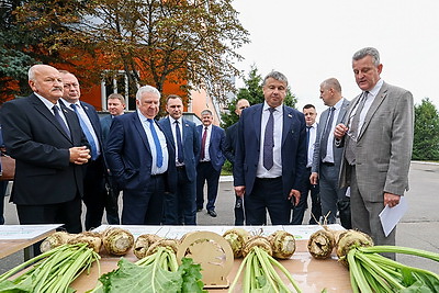 Шулейко оценил готовность сахарных заводов к сезону
