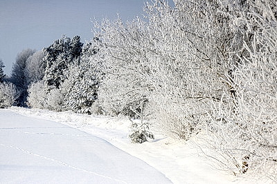 Ночью до -25..-30°С ожидается в Беларуси 15 января
