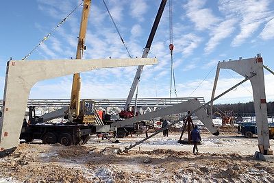 В Гомельской области возводят самый крупный в Беларуси свиноводческий комплекс