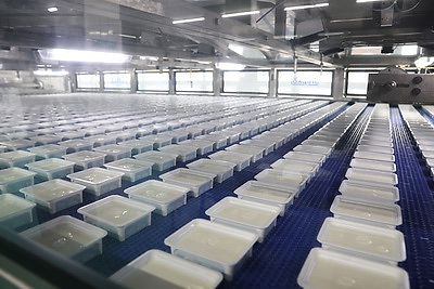 Модернизация производств, инвестиции, туризм. Ломский о точках роста Брестской области