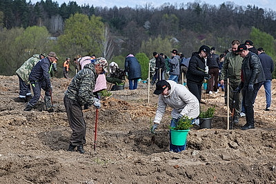 Молодой лес, обновленные улицы, цветники: Жировичи всем миром вышли на субботник