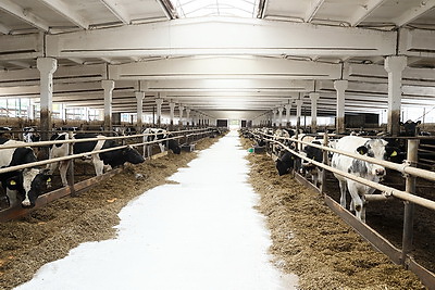 Кочанова ознакомилась с деятельностью ОАО \"Парохонское\"