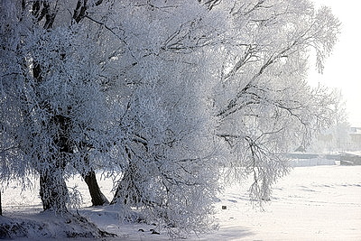 Ночью до -25..-30°С ожидается в Беларуси 15 января