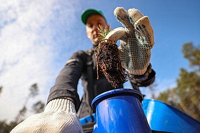 Навести порядок в общем доме. Вольфович об акции \"Лес! Дабро! Парадак!\"