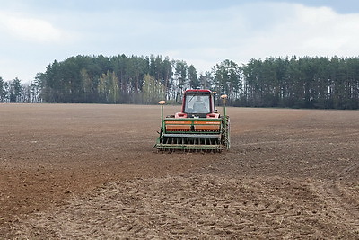 В Могилевском районе стартовал сев селекционных образцов льна-долгунца