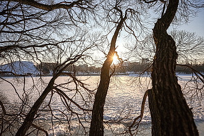 Первый весенний день