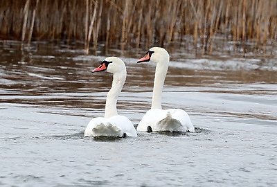 ФОТОХРОНИКА начинает новый информационный день