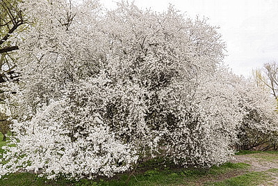 Яркие краски брестских улиц