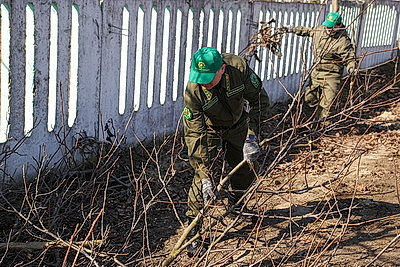 Акция \"Лес! Дабро! Парадак!\" стартовала в Беларуси