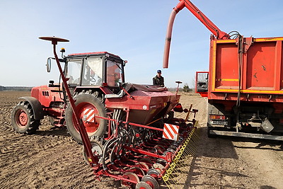 Аграрии Светлогорского района активно включились в посевную кампанию