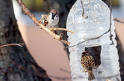 Первый весенний день