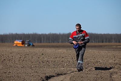 В Минской области весенний сев начали с ярового ячменя
