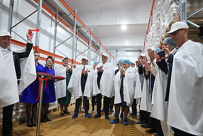 Новые позиции и рабочие места. Цех по производству сыра моцарелла открыли на предприятии в Щучине
