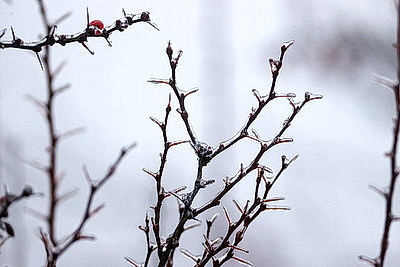Стеклянный дождь в Гродно