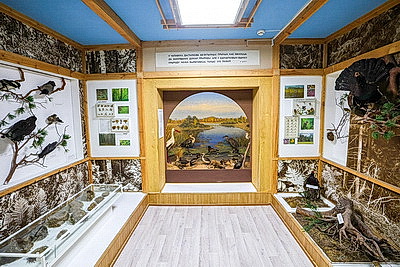 Краеведческому музею в Поставах исполняется 50 лет