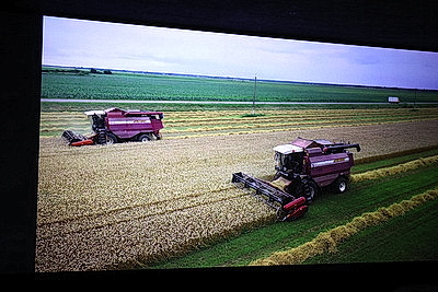 Гимн человеческой стойкости: в Минске презентовали фильм \"Чернобыль. Живая земля\"