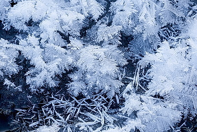 Зимний пейзаж