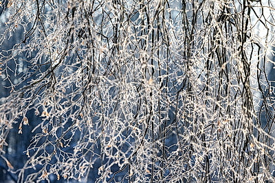Солнечный январский день в Минске